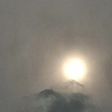 Profile image of 한지효