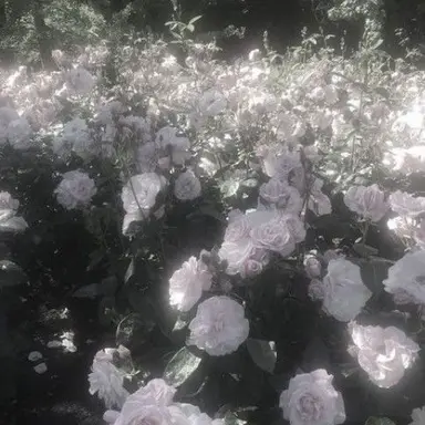 Profile image of 유지민