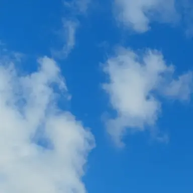 Profile image of ミク