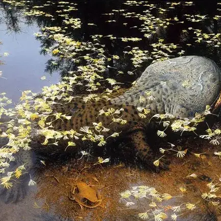 MellowKiang8772의 쿨라수쿠스