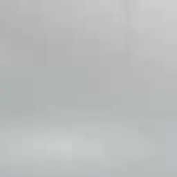 hlmtxp의 화이트즈