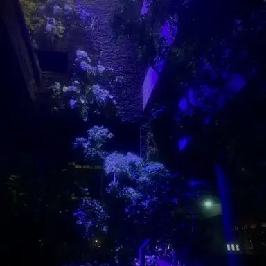 Profile image of いるま