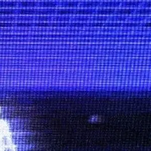 Profile image of 금성제