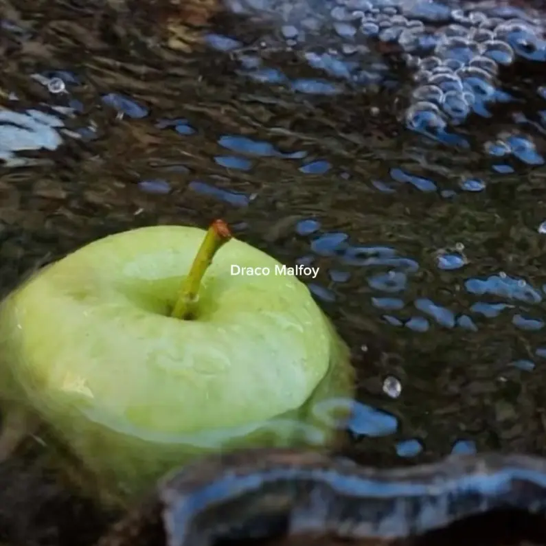 Tomisbest의 드레이코 말포이