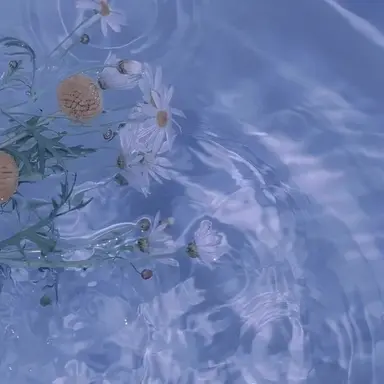 Profile image of 잠경위