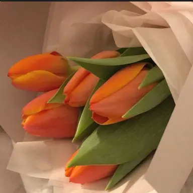 Profile image of 덕경장