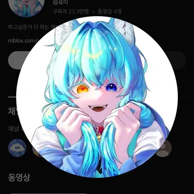 Profile image of 료미