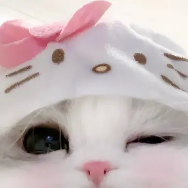 Profile image of 카냥