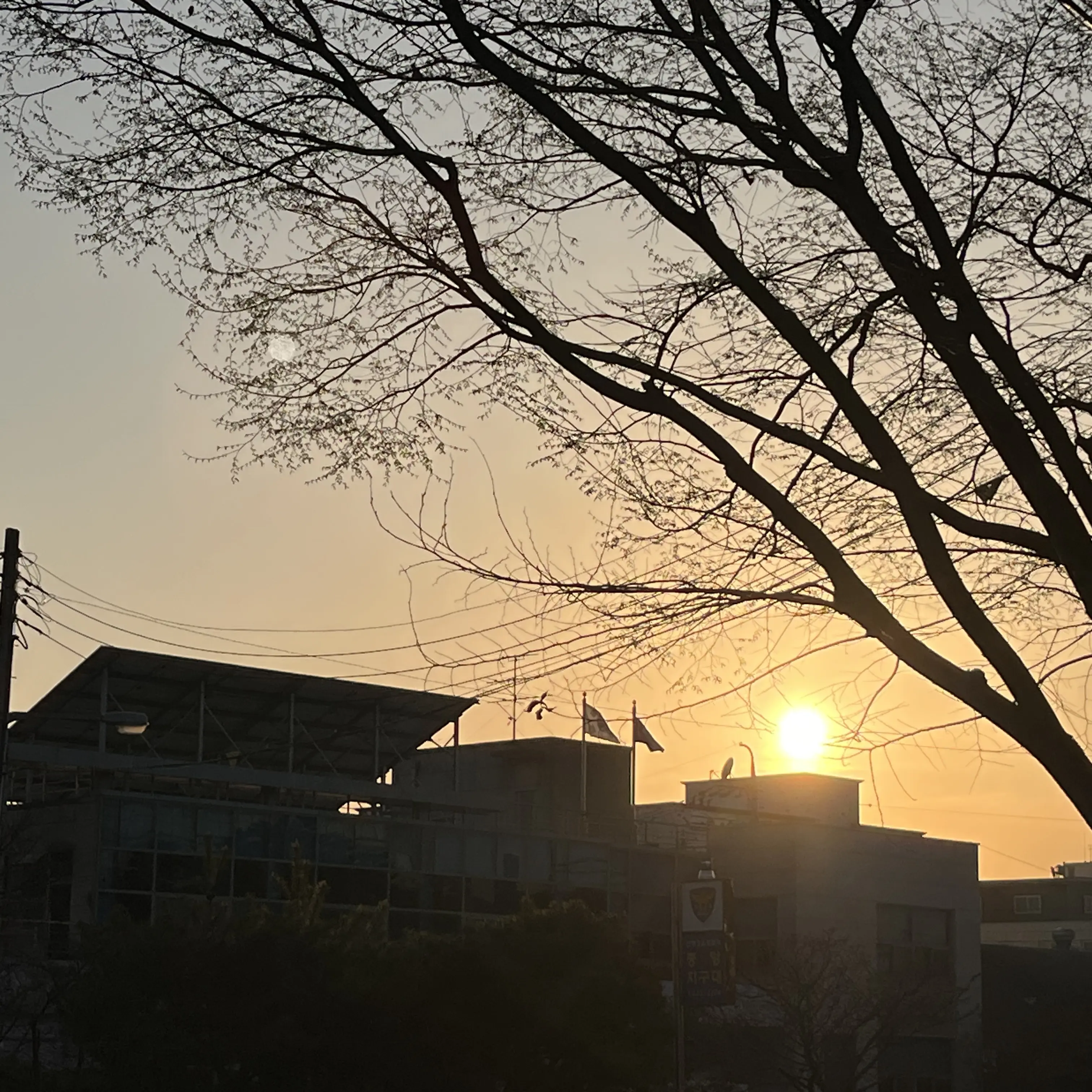SadBeach5792의 이도윤