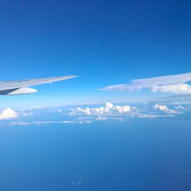 Profile image of 팀나빠 고고프렌즈