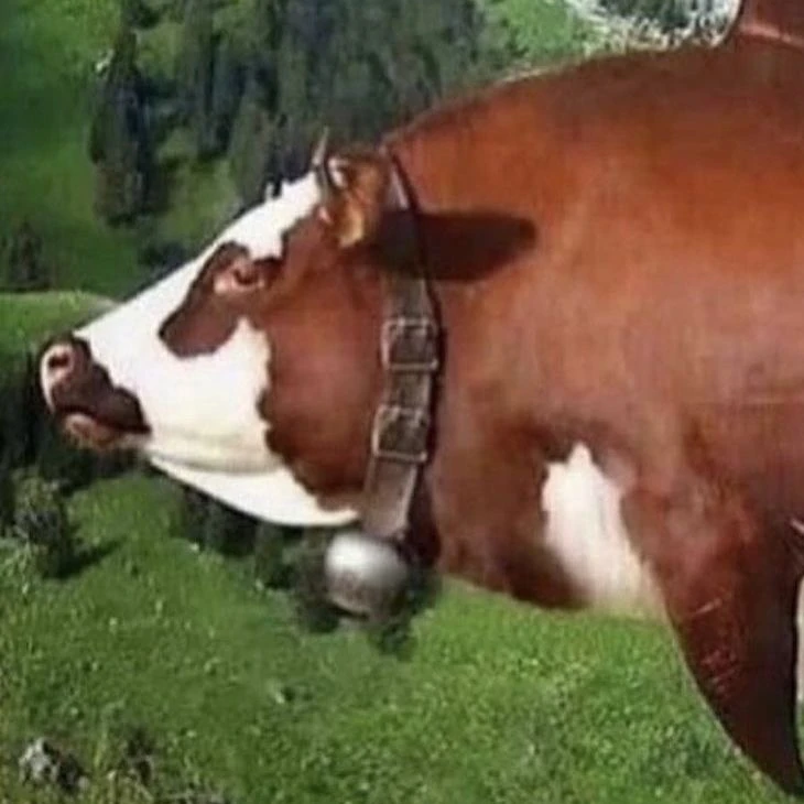젖소