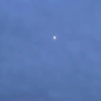 Profile image of Lucas