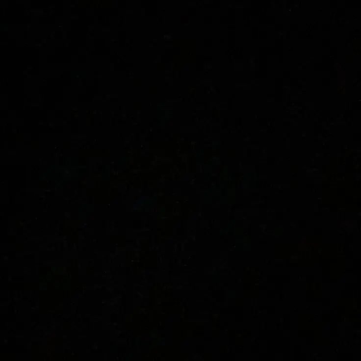 TallMoss3667의 『진호빈』