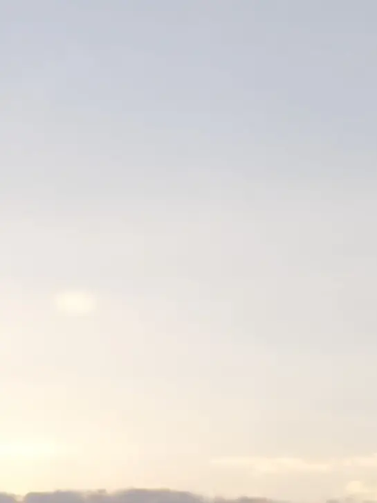 thathaneko-love의 神社