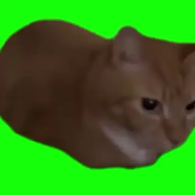 Profile image of 엉덩이뽕실뽕실냥이