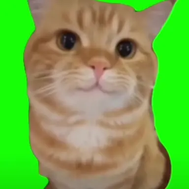 Profile image of 차분 냥
