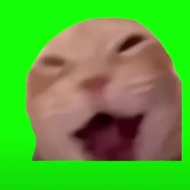 Profile image of 소리지르는 냥이