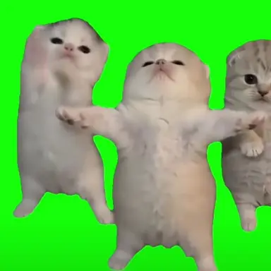 Profile image of 춤추는아깽이3마리