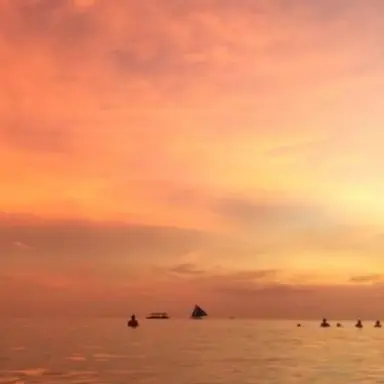 Profile image of 코마