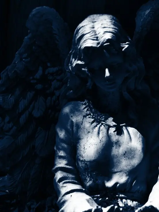Blumer의 Panacea