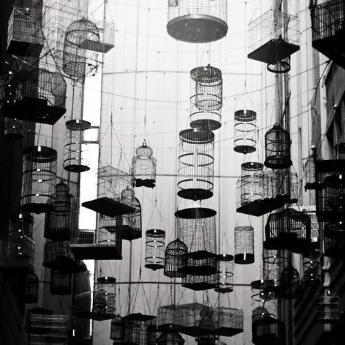 Leemu의 거미줄에 얽혀