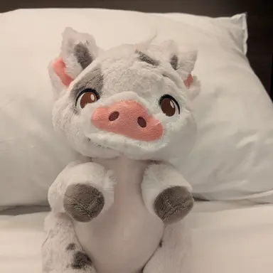 Profile image of そうすけ
