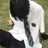 이도현