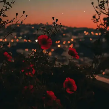 Profile image of 라더