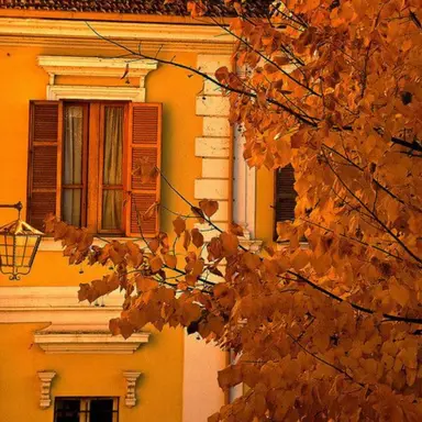 Profile image of 덕개