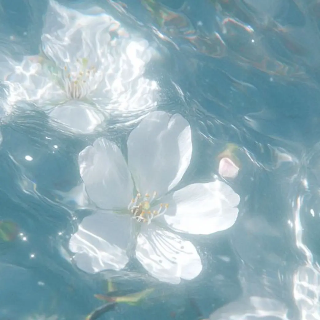 Iwanthome365의 탐욕