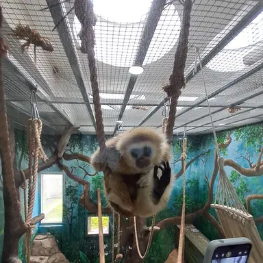 Profile image of 류수호