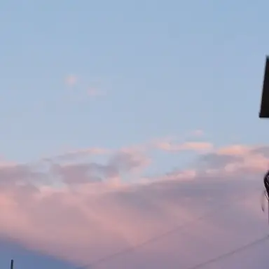 Profile image of 첫 신고먹은 후기