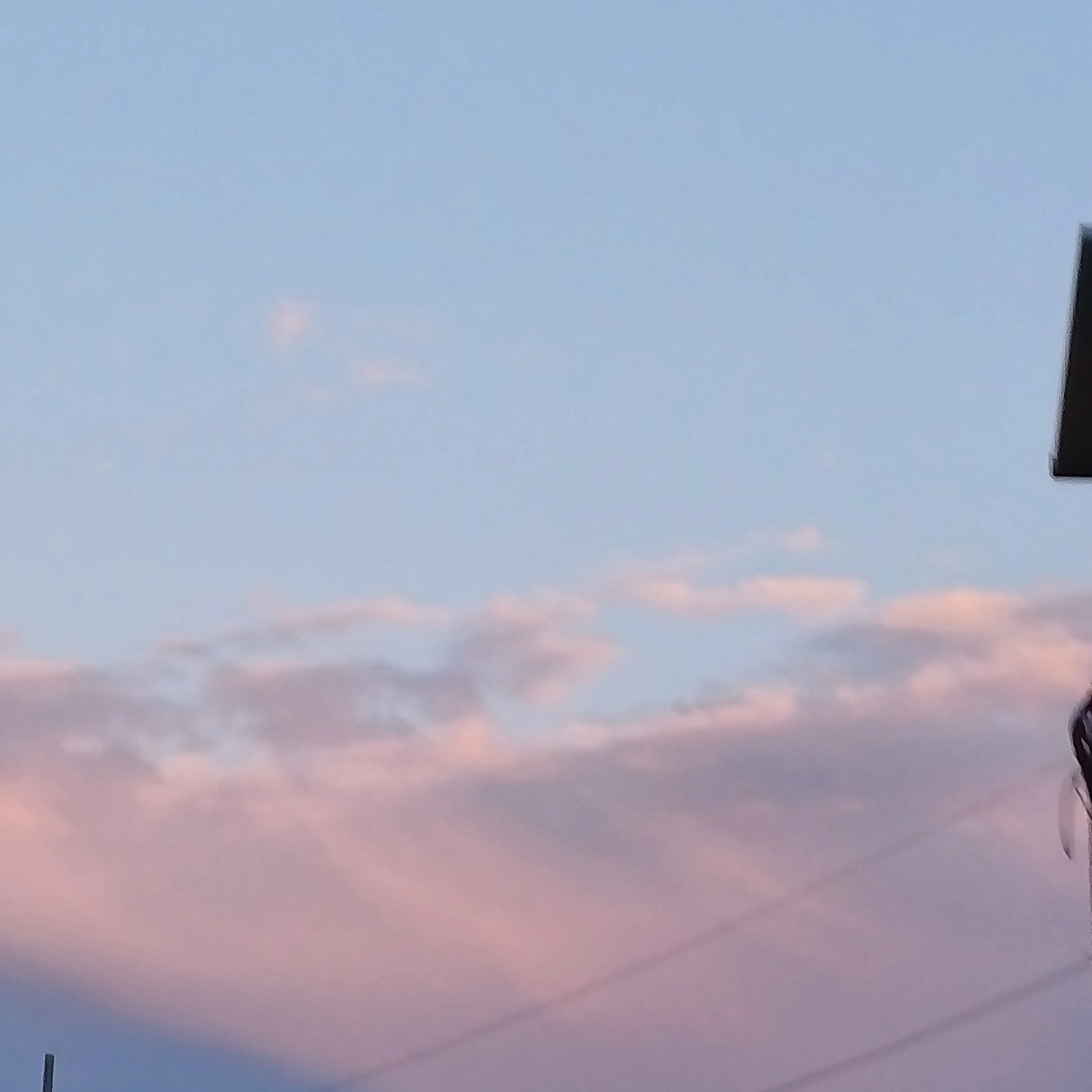 Livee의 첫 신고먹은 후기