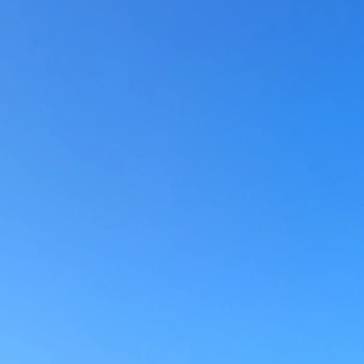 Lettuce_and_star_candies의 미수반2+여우