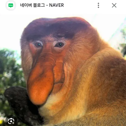 TamestKoala2472의 변태 아저씨