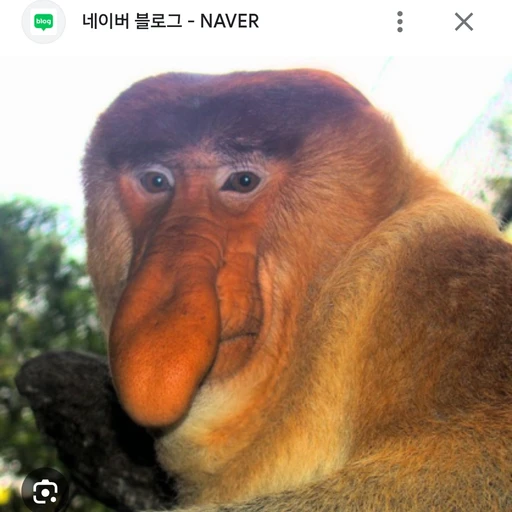 변태 아저씨