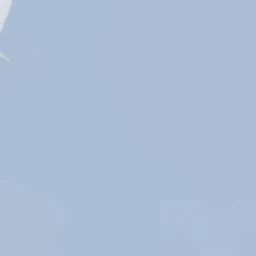 독새