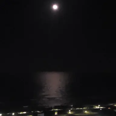 Profile image of 별빛나루