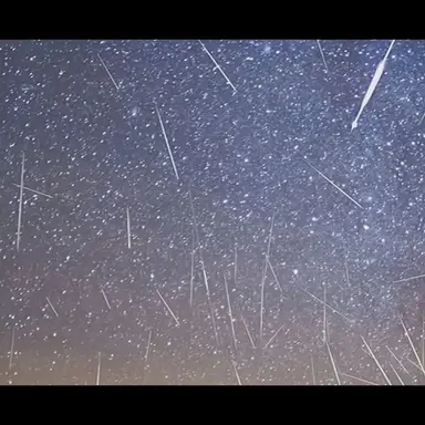 Profile image of 박 영환