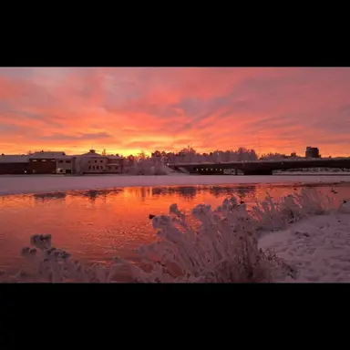 Profile image of 서라더