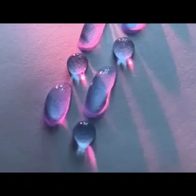 Profile image of 황수현