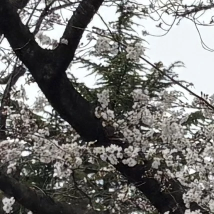 최.수.빈