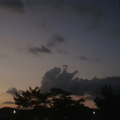 Profile image of 폴