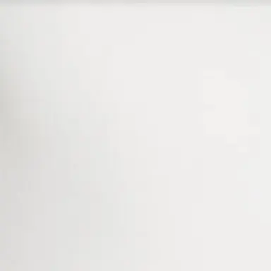 Profile image of 베일리