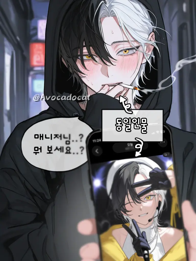 Avocadocat의 시라카와 레이