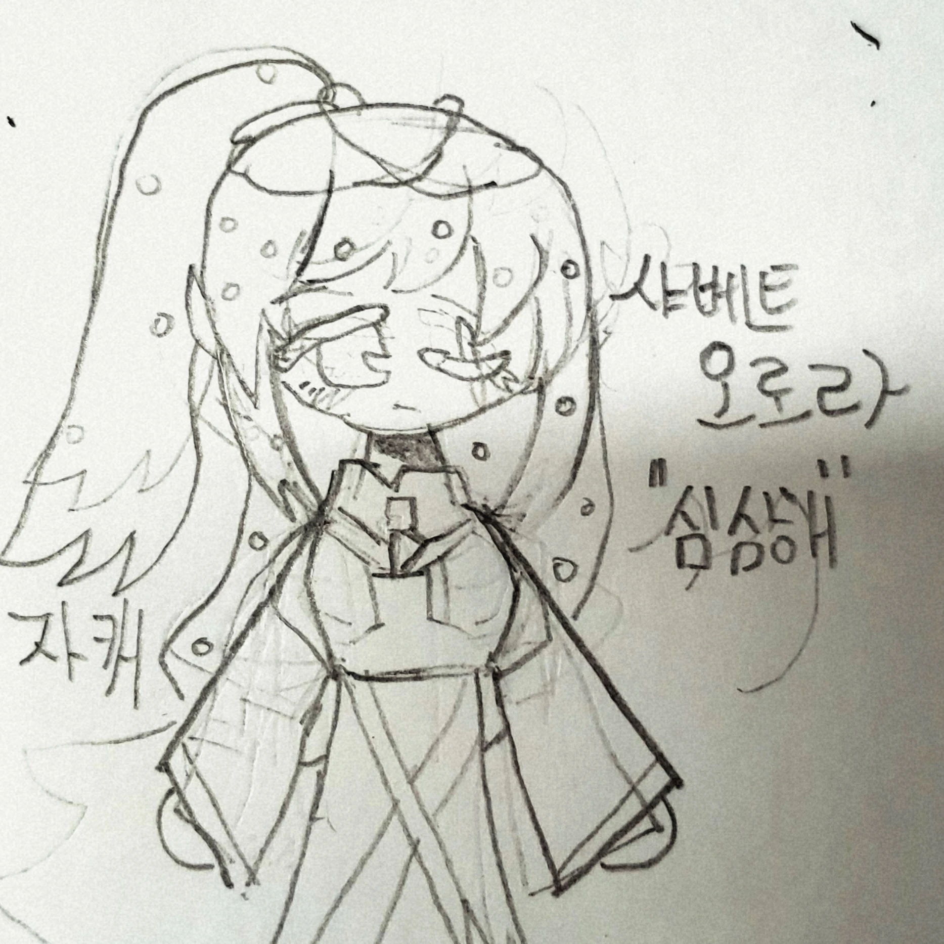 샤베트 오로라