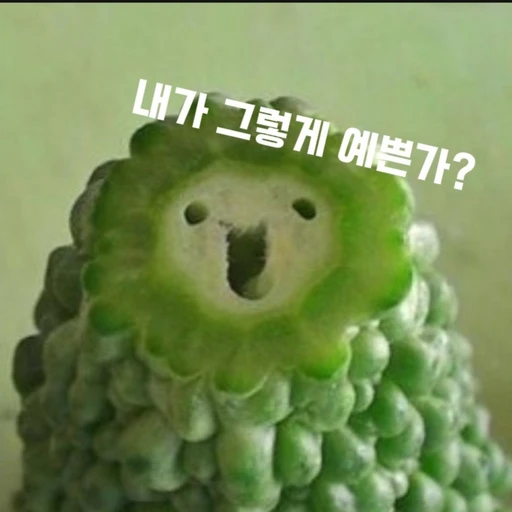 울 언니