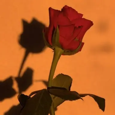 Profile image of 혜민