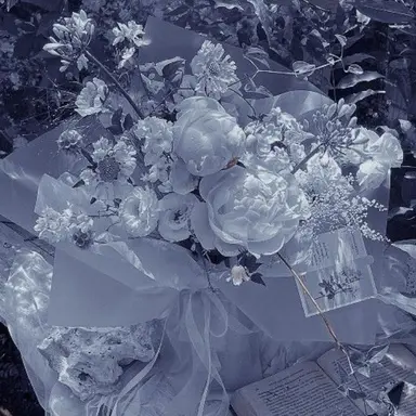 Profile image of 파이브