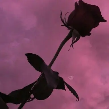 Profile image of 선하